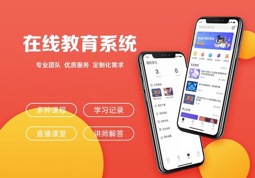 教育軟件開(kāi)發(fā)方式選擇與銷(xiāo)售策略指南