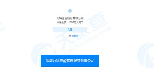 每日新注冊公司精選 | 2019年11月19日 軟件外包服務領域的創(chuàng)新力量